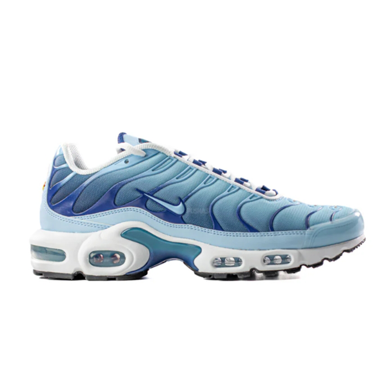 Nike Air Max Plus Blue Fashion sneakers