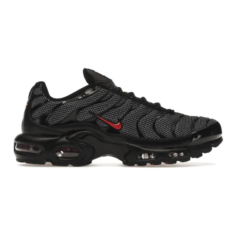 Nike Air Max Plus Metal Mesh Black Red Casual sneakers