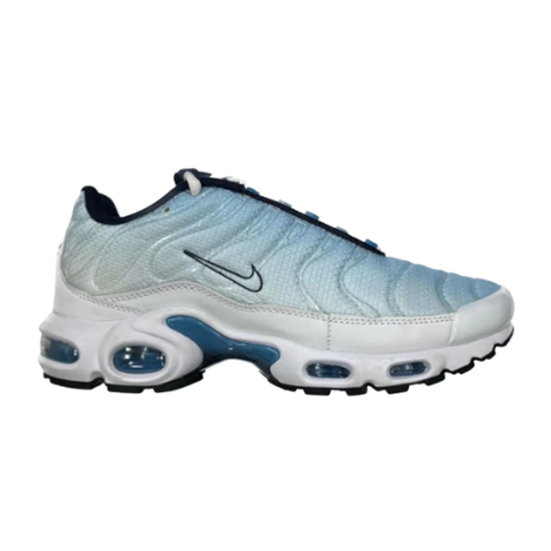 Nike Air Max Plus Psychic Blue White Casual sneakers