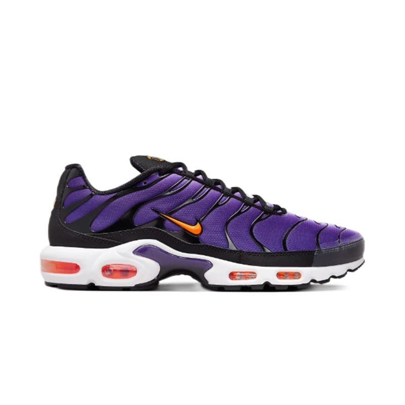 Nike Air Max Plus Fashion sneakers
