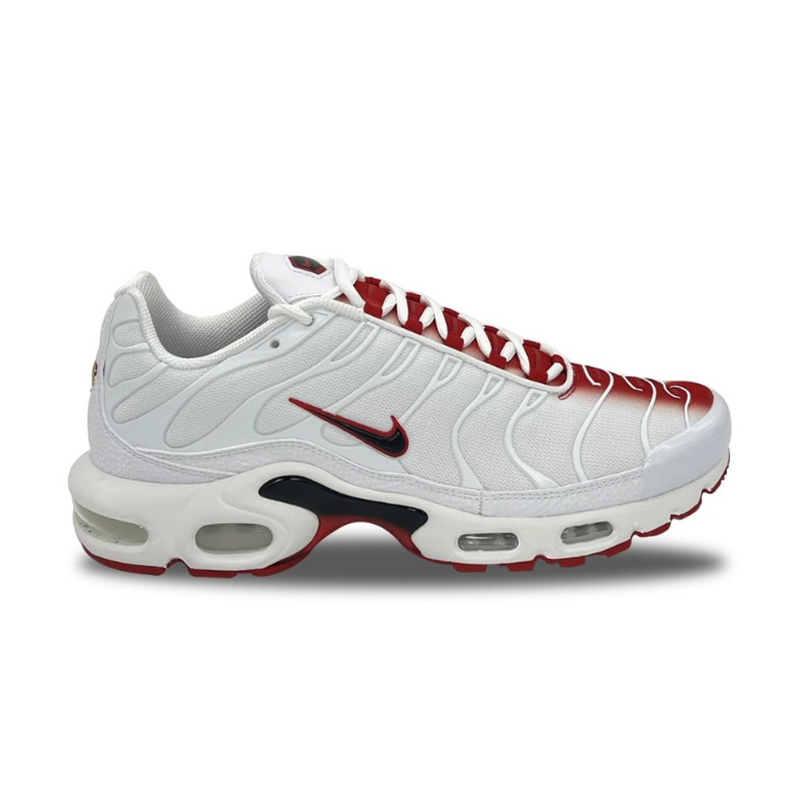 Nike Air Max Plus TN trainers