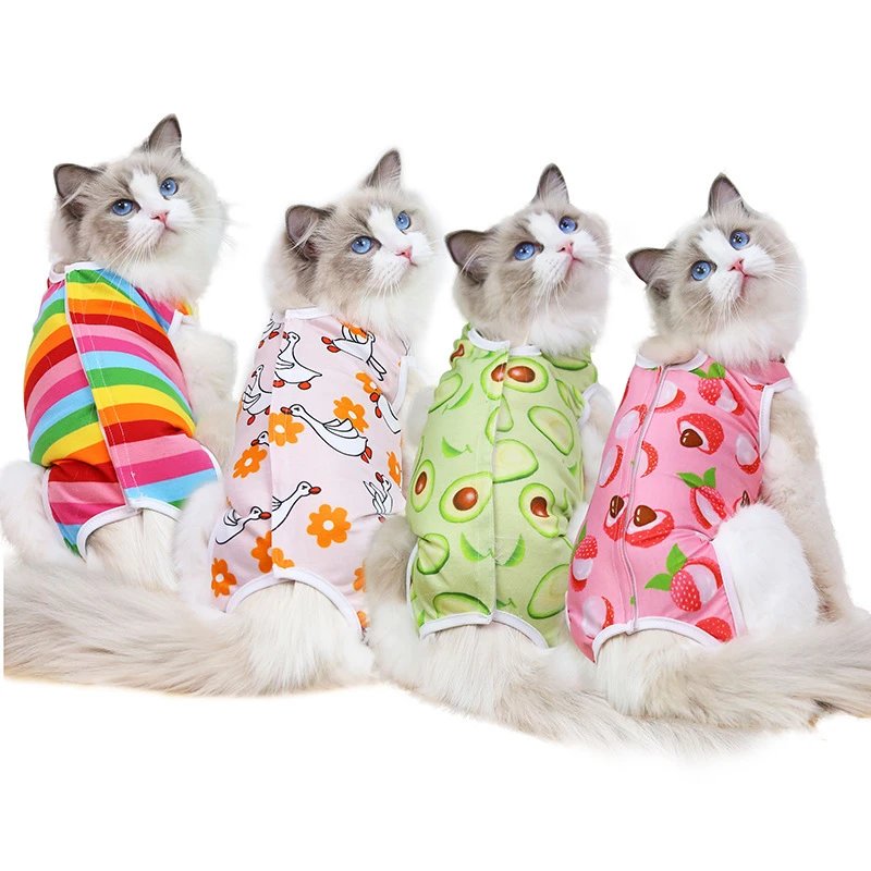 Dog Small Medium Dog Cat Cat Spay Suit Surgical Dog Clothing Four Seasons Pet Clothing Post-op Cat Supplies Apparel