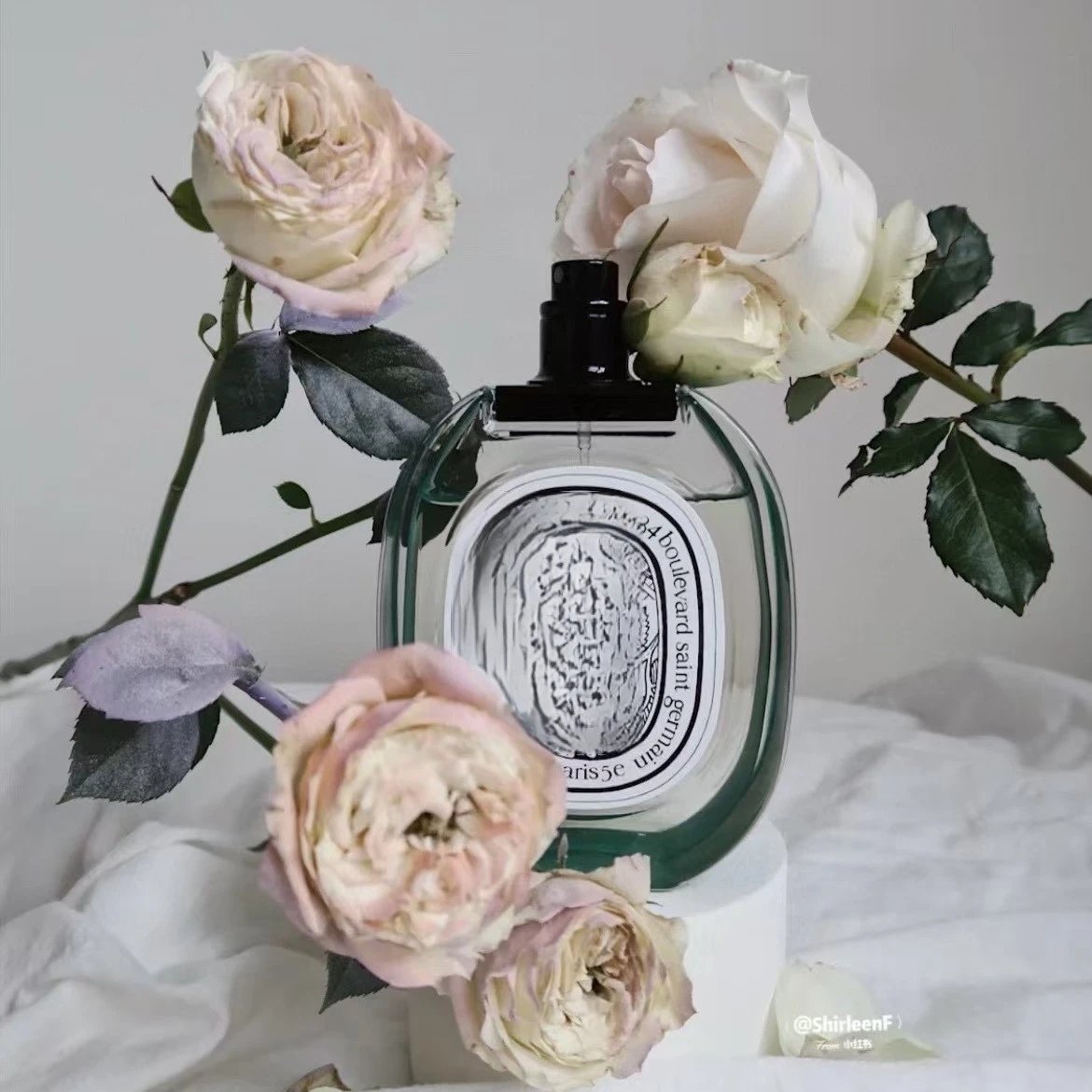 Perfume Diptyque Eau Capitale, Philosykos, Do Son, Eau Rose, L'Eau Papier, L'Eau des Sens Eau de Toilette