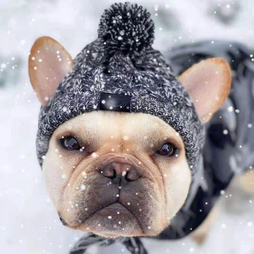 Pet Cat Hat French Bulldog Pug Large Dog Cat Dog Pet Supplies Autumn Winter Dog Yarn Amazon Teddy