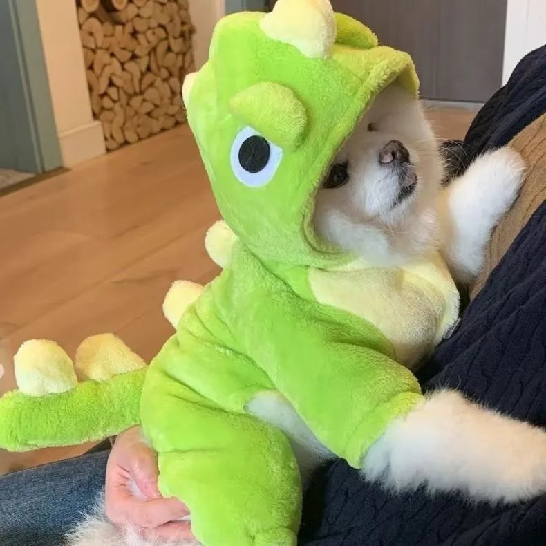 New Dinosaur Transformation Small Dog Clothing Autumn Winter Flannel Warmth Teddy Bichon Cat Pet Clothing