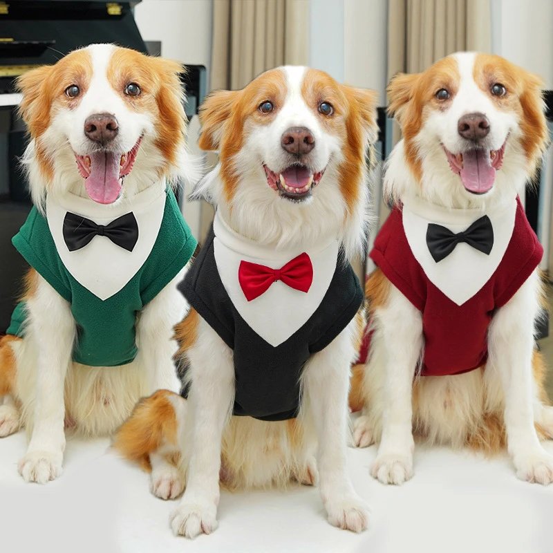 Large Dog Golden Retriever Autumn Winter New Apparel Corgi Cat Suit Pet Formal Wear Cat Clothing Dog Supplies Batch