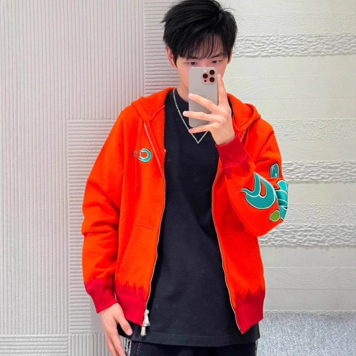 Dior Year of the Snake Limited Sleeve Snake Embroidery Zipper Hooded Hoodie Cardigan